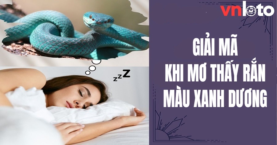 Nằm mơ thấy rắn đánh con gì khi chúng có màu xanh dương